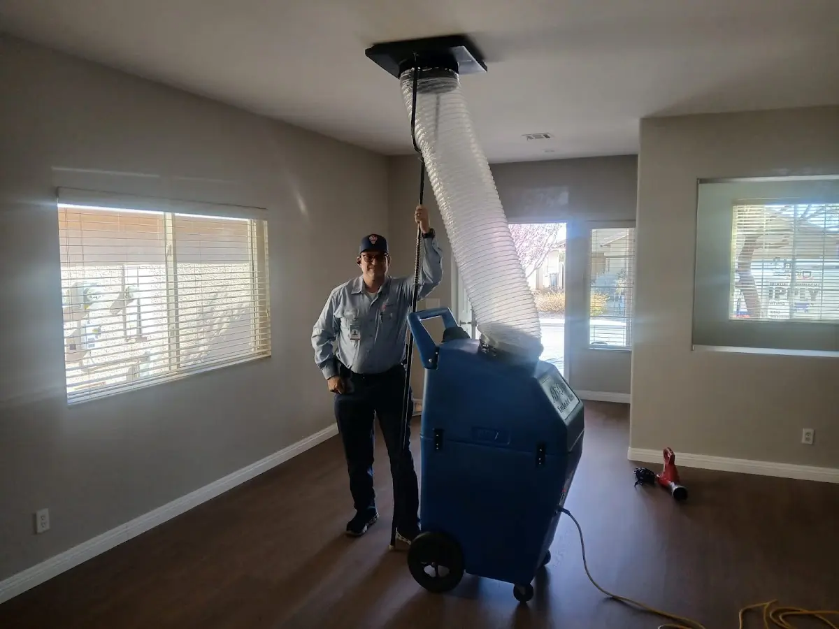 Professional Dryer Vent Cleaning work inside a Greenville home